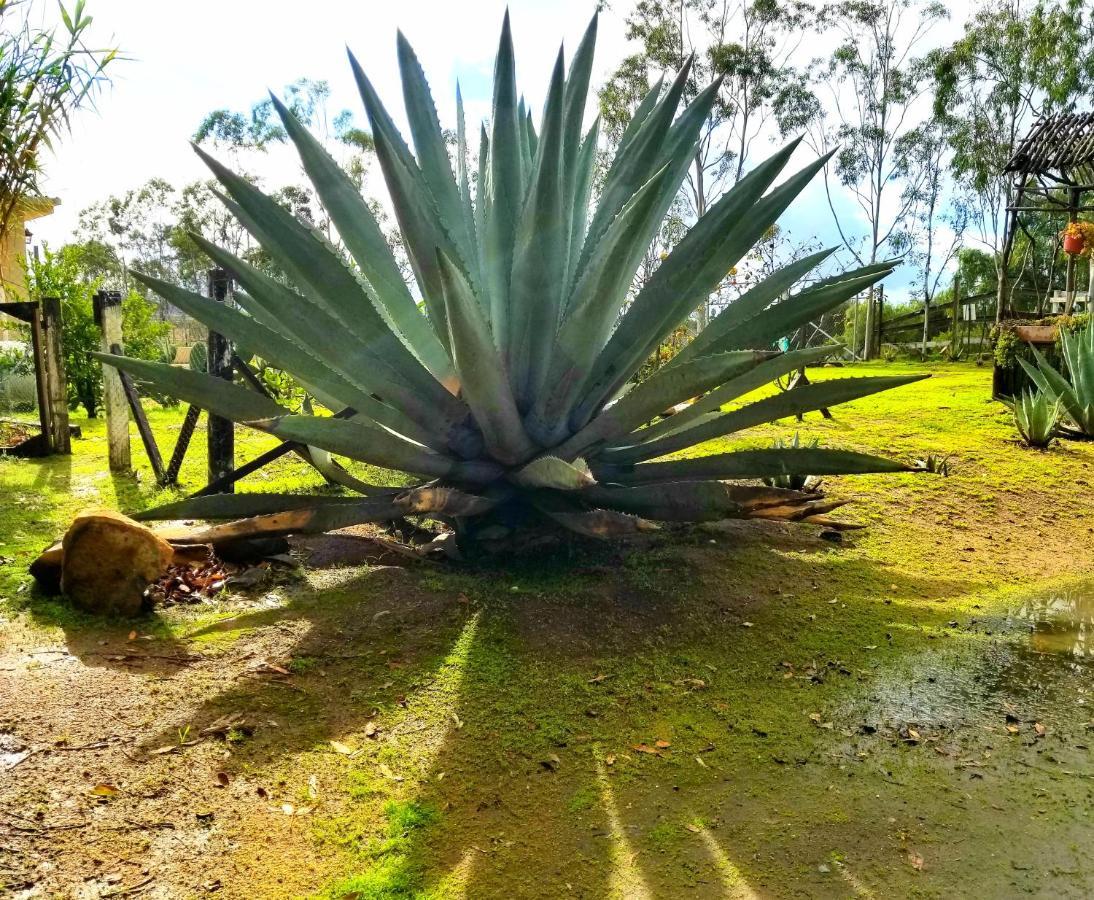 Terra Monarca Villa Guadalupe Eksteriør billede